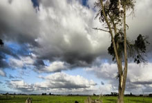 18岁5个月！斯凯利是英格兰队史第3年轻进球者，仅次鲁尼&欧文.